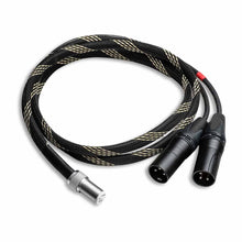 Cabluri pentru Pickup Audio