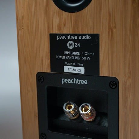 Peachtree M24 - boxe audio wireless, set