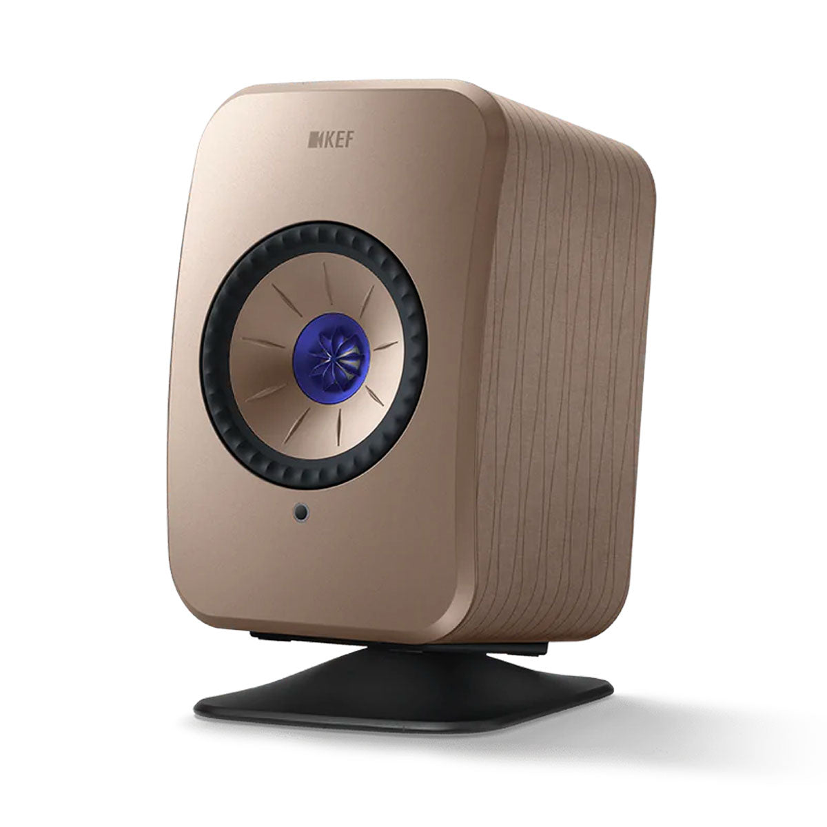 KEF P1