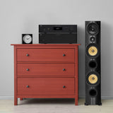 NAD C298 - amplificator de putere stereo