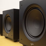 Paradigm Defiance X15