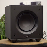 Paradigm Defiance X15