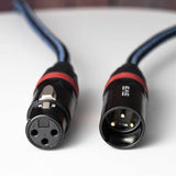 SVS SoundPath XLR