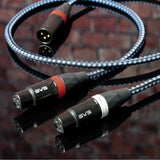 SVS SoundPath XLR