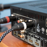SVS SoundPath XLR