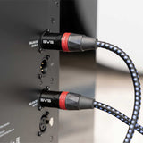 SVS SoundPath XLR