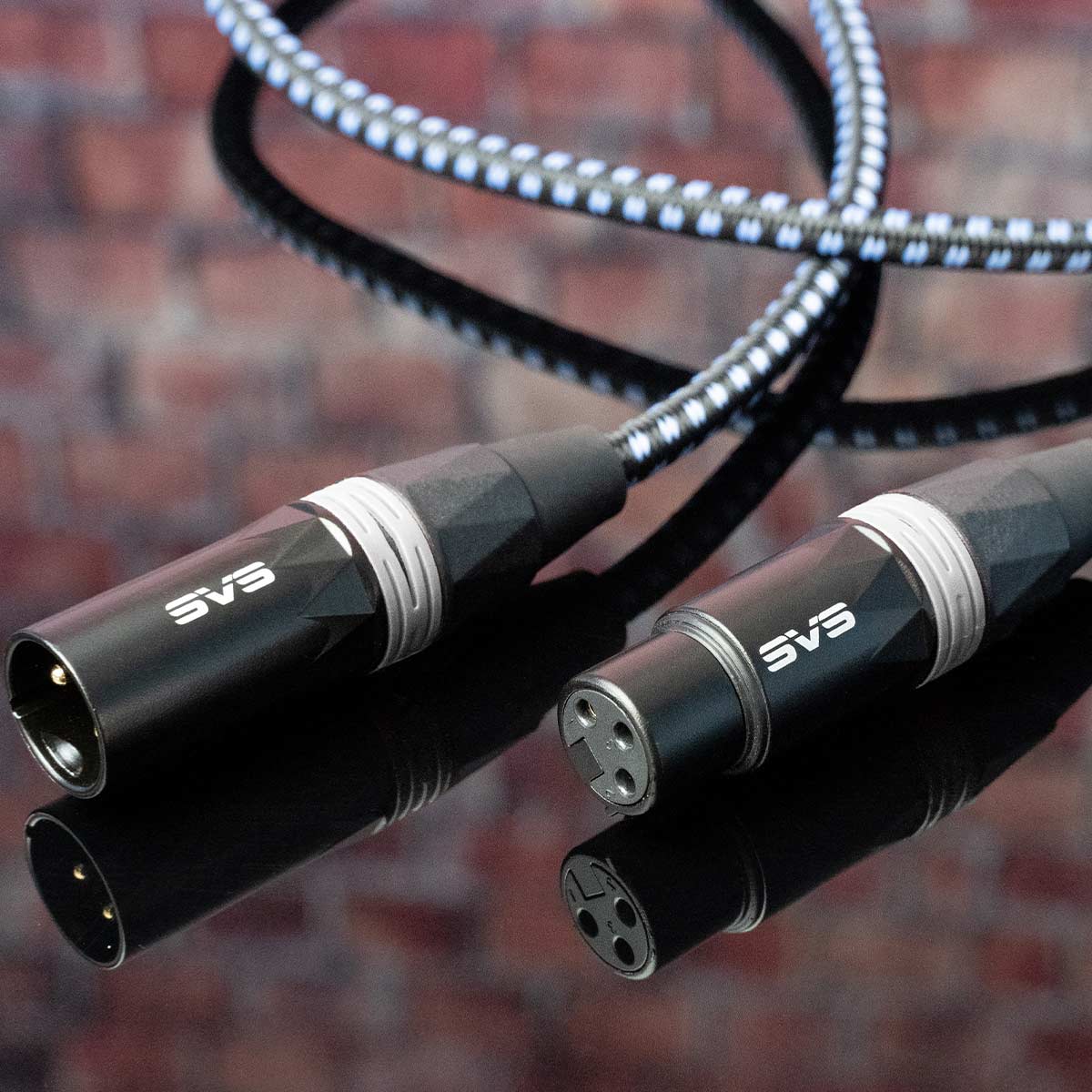 SVS SoundPath XLR