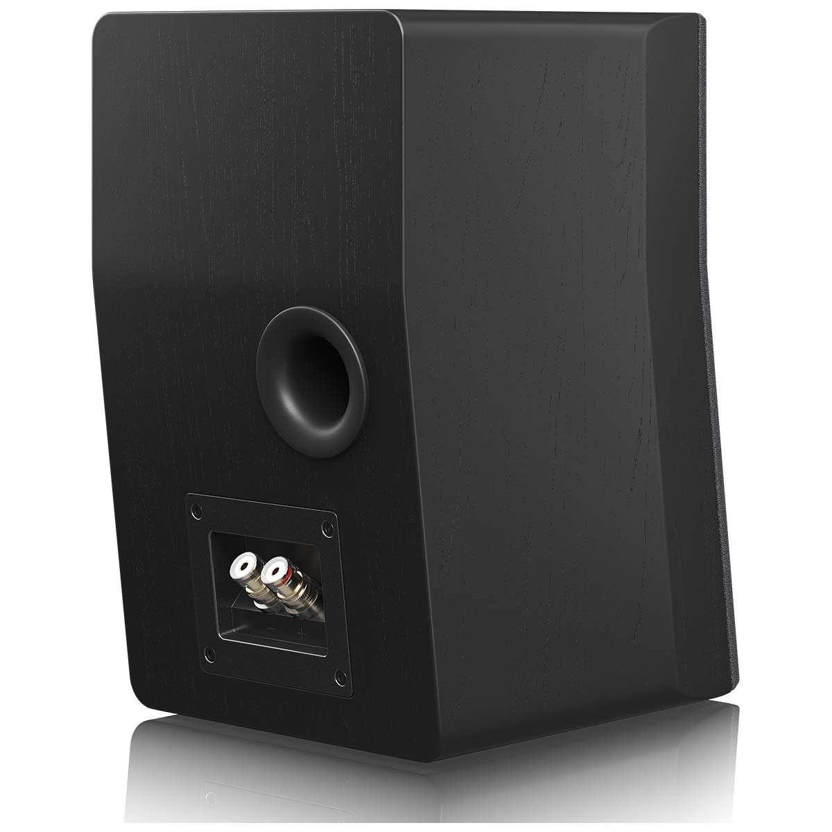 SVS Ultra Evolution Nano